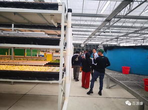 從引進(jìn)來到走出去,農(nóng)業(yè)無國界,與百源康工廠化魚菜共生一起合作求共贏